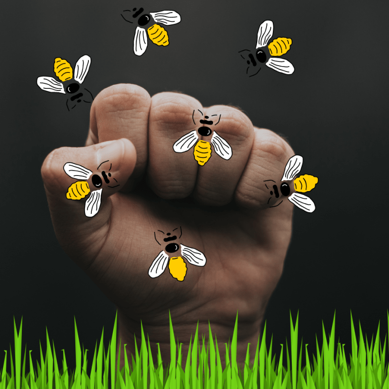 La sinistra che (si)&nbsp;odia